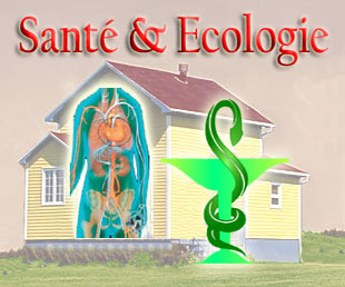 Visuel  insrer pour Sant et Ecologie