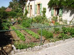 Un potager biologique, orient sud