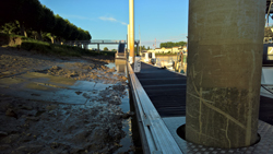 Le ponton de plaisance  mare basse de Libourne