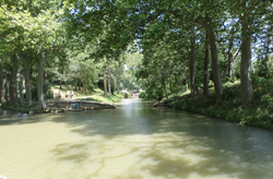 Le bief de partage du canal  Sgala